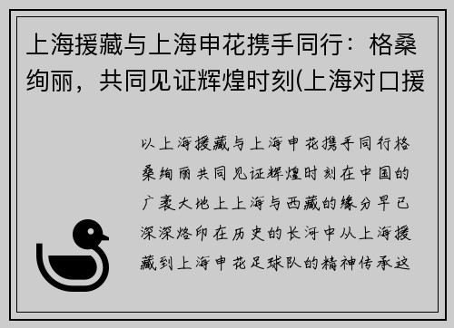 上海援藏与上海申花携手同行：格桑绚丽，共同见证辉煌时刻(上海对口援藏)